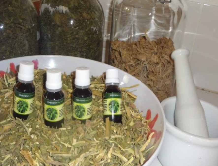 Fiche technique – Procesamiento de plantas medicinales Guia productos Guatemala 2015