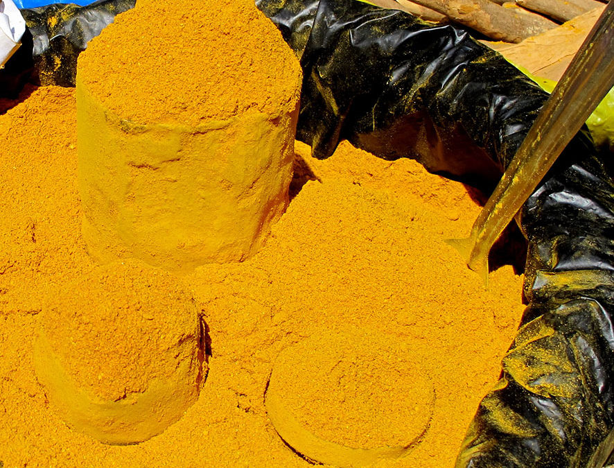 Plante – Curcuma – Curcuma longa