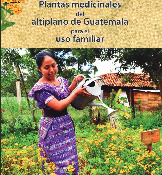 Livre Formation soin Manual de plantas medicinales Guatemala 2013