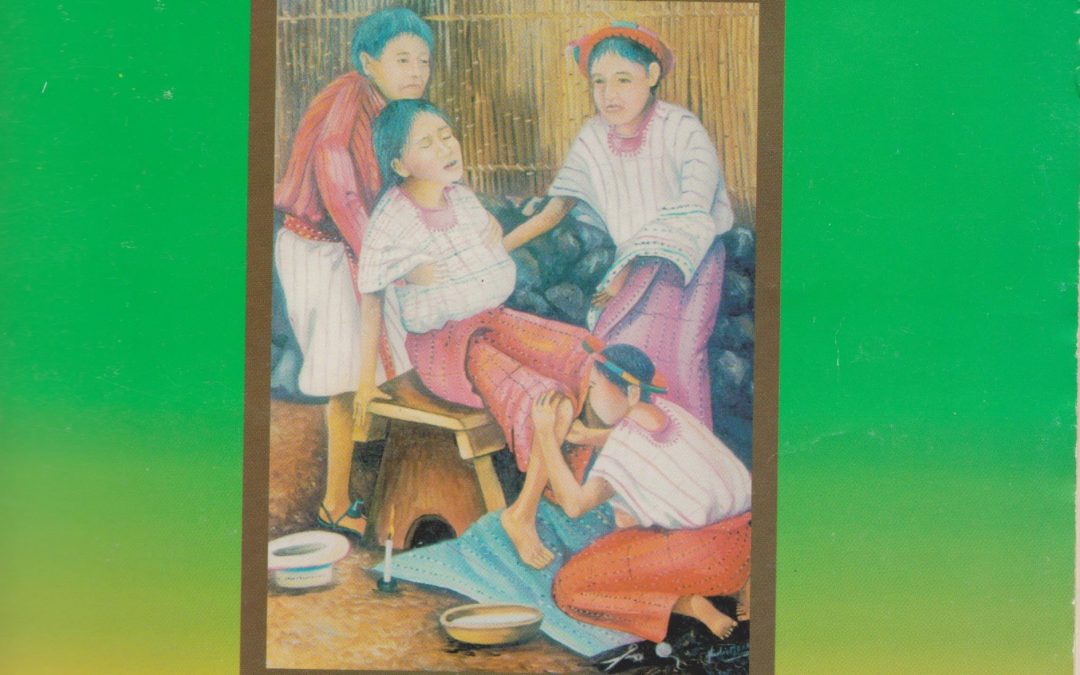 Livre Plantas medicinales y comadronas Guatemala – plantes médicinales sages femmes 2002