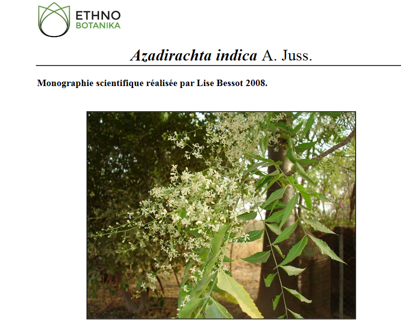 Monographie Azadirachta indica Lise Bessot 2008