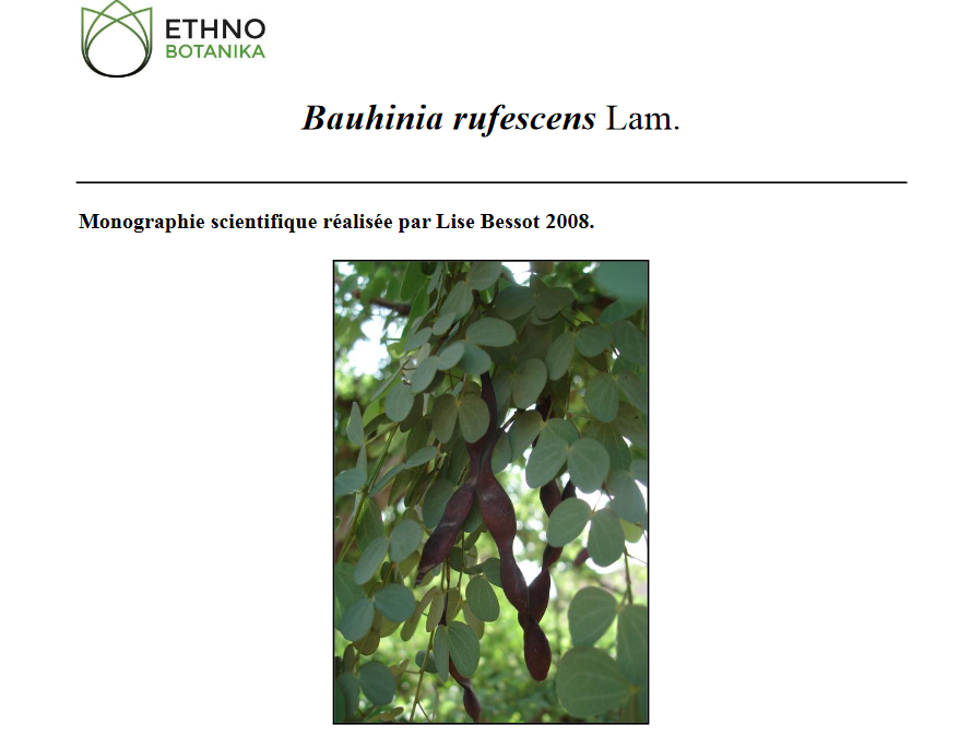 Monographie Bauhinia rufescens Lise Bessot 2008