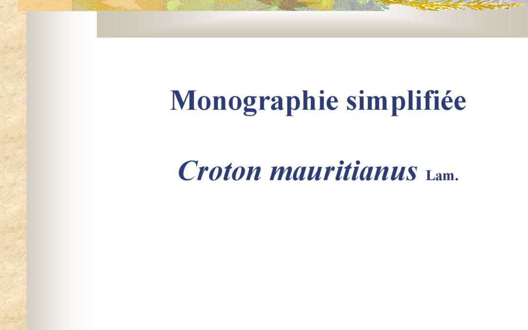 Monographie simplifiée – Croton mauritianus Anne Lindsey 2005