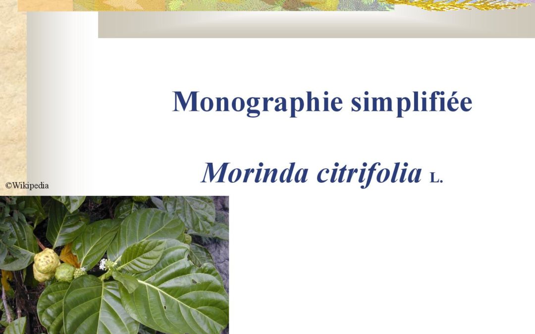 Monographie simplifiée – Morinda citrifolia Anne Lindsey 2005