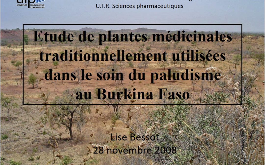 Présentation thèse Lise Bessot plantes médicinales soin du paludisme Burkina Faso 2008