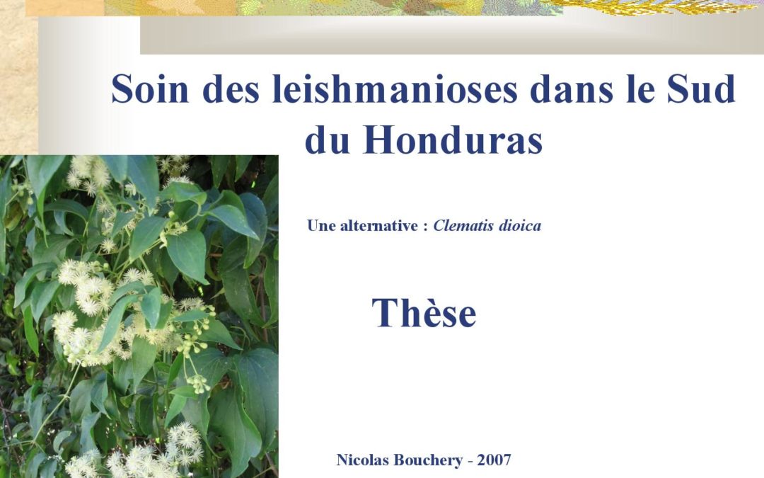 Thèse Nicolas Bouchery leishmanioses Honduras Clematis dioica 2007