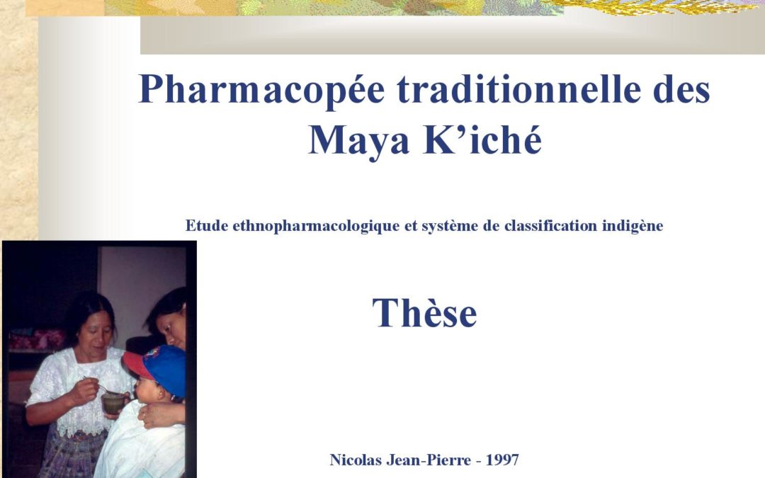 Thèse Pharmacopée des Maya k iché plantes médicinales Guatemala 1997 Nicolas Ethnobotanique Ethnopharmacologie