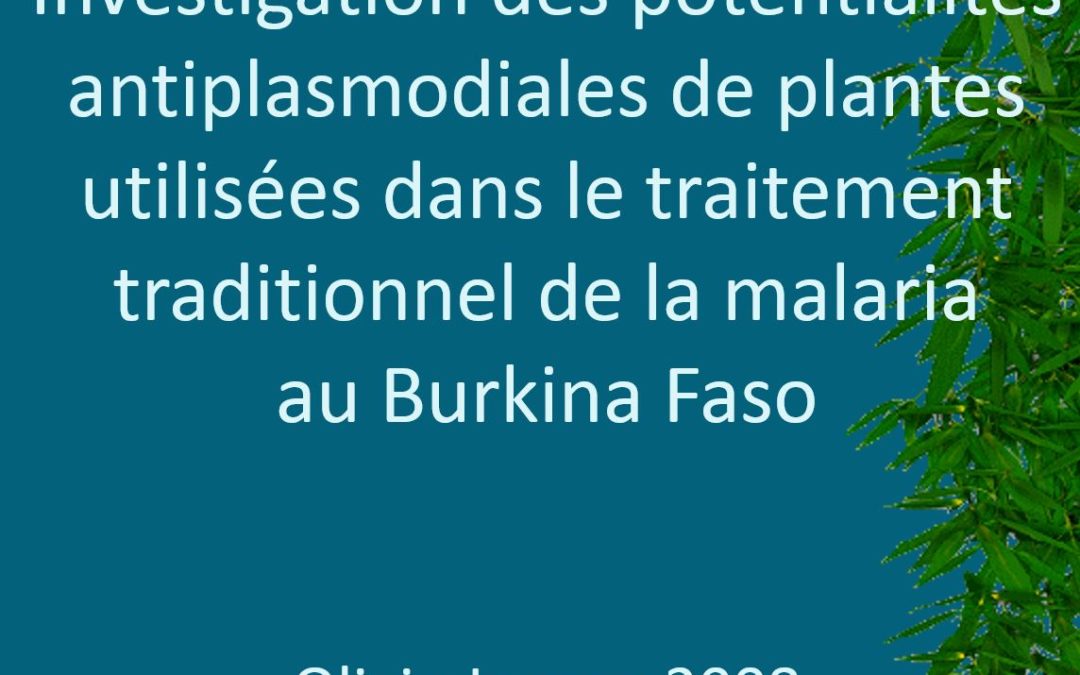 Conférence – Ethnobotanique ethnopharmacologie paludisme Burkina Faso Olivia Jansen 2008