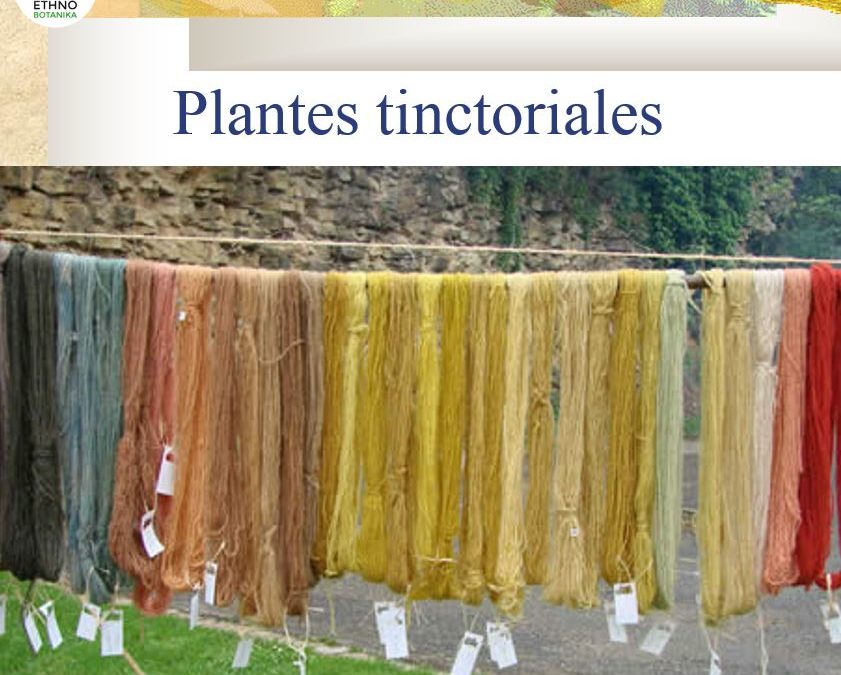 Conférence – Plantes tinctoriales 2014