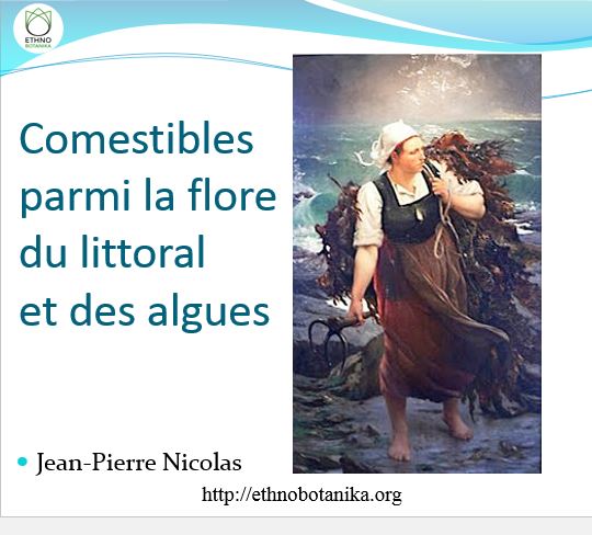 Conférence – Plantes du littoral et algues comestibles 2015