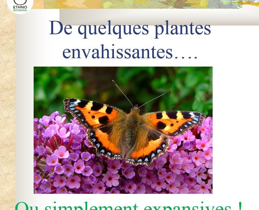 Conférence – Plantes envahissantes 2017