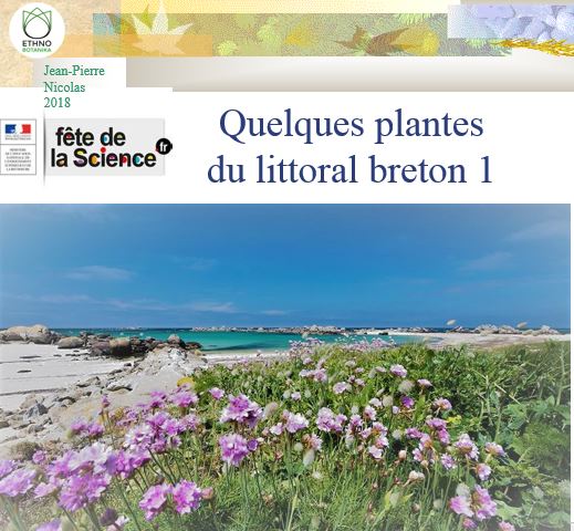 Conférence – Plantes du littoral 2018 1