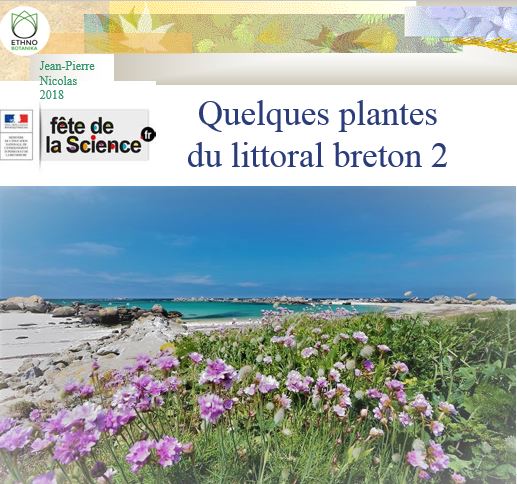 Conférence – Plantes du littoral 2018 2