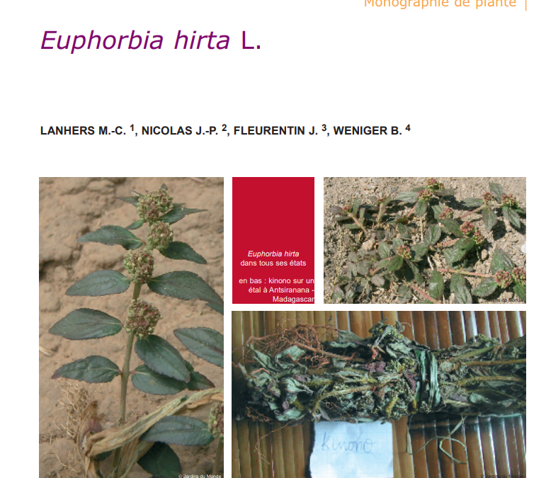 Article Euphorbia hirta monographie de plante 2005 Lanhers et al.