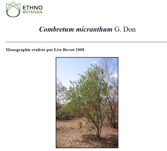 Combretum micranthum Monographie Lise Bessot 2008