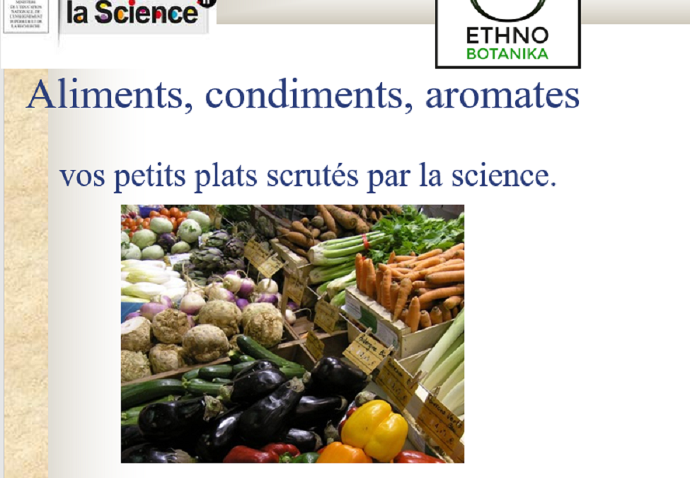 Conférence – Aliments, condiments, aromates Octobre 22