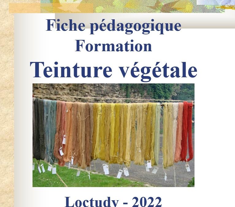 Fiche – Formation teinture végétale encres